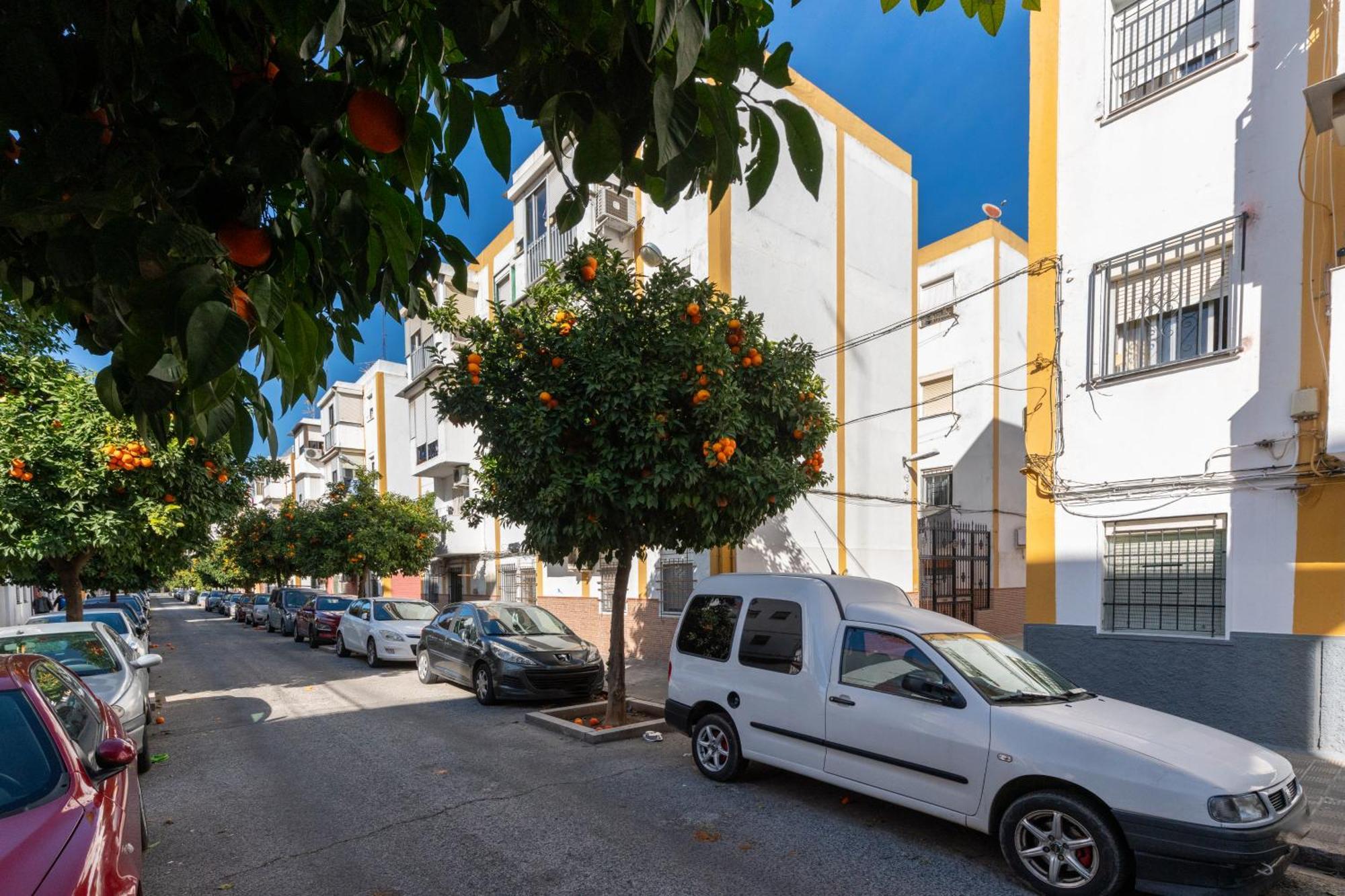 3 Cerca Del Centro Appartement *