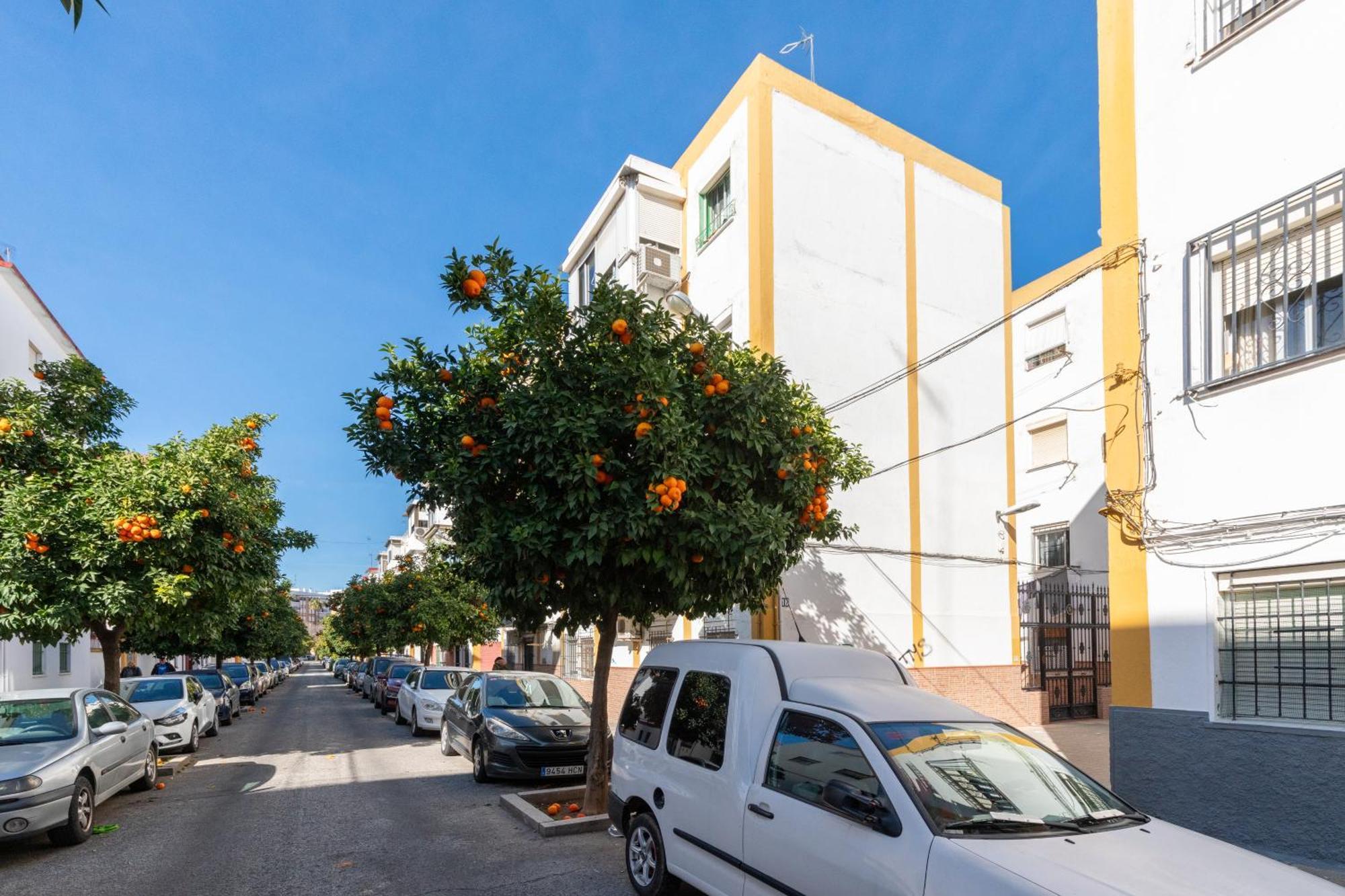 3 Cerca Del Centro Appartement *